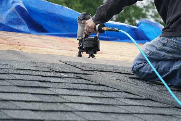 Best Sealant for Roof  in Hull, IA