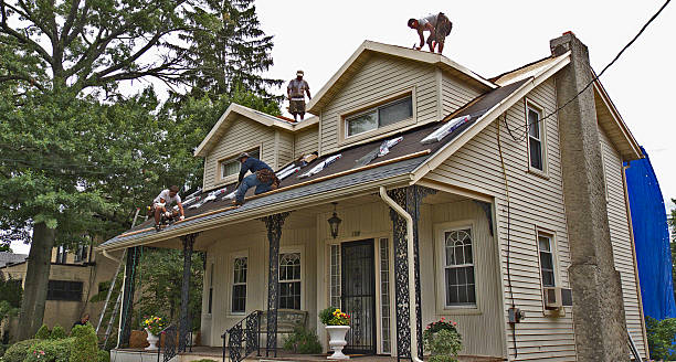 Professional Roofing Contractor in Hull, IA