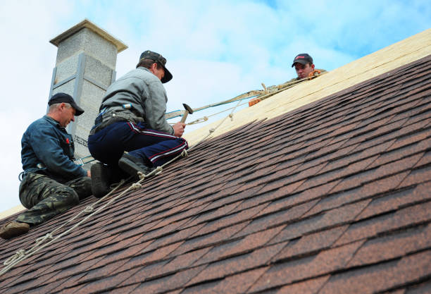 Best Local Roofing Companies  in Hull, IA