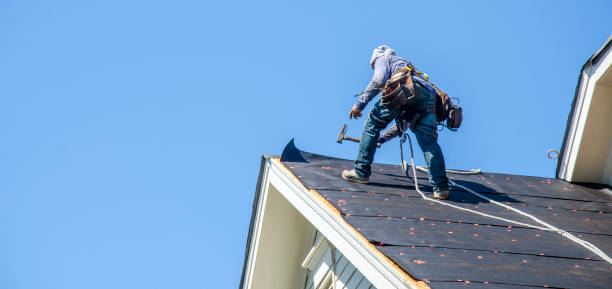 Best Tile Roofing Contractor  in Hull, IA